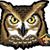 Sandra West's profile image