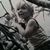 David E Bearden's profile image