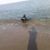 Oktay Asi's profile image