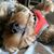 Jaime Cotter's profile image