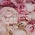 Sara McCullogh Johnson's profile image