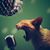 Carlos Alfredo Galvez's profile image
