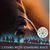 Jacquie Yazzie Wendleton's profile image