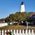 Patti Safrit's profile image