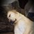 Kaitlyn White's profile image