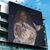 Crystal Phillips's profile image