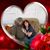 Missy Todd Bell's profile image