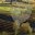 Wine Road Northern Sonoma County's profile image
