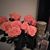 Rose Twitty's profile image