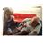 Lyssa Kneibert Hooper's profile image