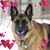 Wendy Landry's profile image