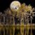 Kathy Parker's profile image