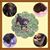 Ray Adams's profile image