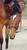 Eeva P.'s profile image