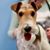 Laura Sherman Perkins's profile image