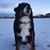 Jen Wolfe Rutherford's profile image