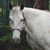Molly Paty's profile image