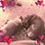 Sharon Kees's profile image
