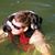 Andrew Zipp's profile image
