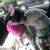 Dawn Hunt's profile image