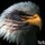 Duane Mowrer's profile image