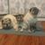 Eileen Kane's profile image