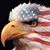 Rhonda DeVor's profile image