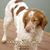 Lorie Gantz's profile image