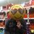 Jacob Bogie's profile image