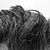 Bjorn Christianson's profile image