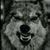Matthew Burns's profile image