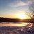Lori Piccirilli's profile image