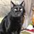 Becky Brummer Kougias's profile image