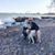 Amy Starr-Johnson's profile image