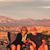 Sue Schutte Miller's profile image