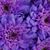 Joanne Draeger's profile image