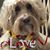 Sue K Bee's profile image