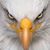 Andrew Cleghorn's profile image