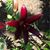 Sue Stevens's profile image