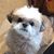Shelley Ruth's profile image
