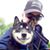 Tom Tohill's profile image
