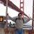Anuj Prakash's profile image