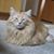 Alfie Mitts's profile image