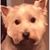 James Ger's profile image