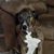 Kasey Binion's profile image