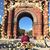 Debra Zajic's profile image