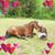 Anne Marie Shanahan's profile image