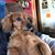 John Wilcox's profile image