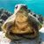 Jan Munn's profile image