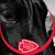 Chrissy Martin's profile image